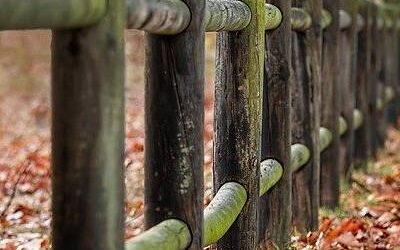 Ea rem aut et architecto est atque.